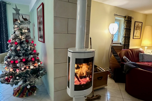 Pose d’un poêle à bois Jotul à Dialan-sur-Chaîne